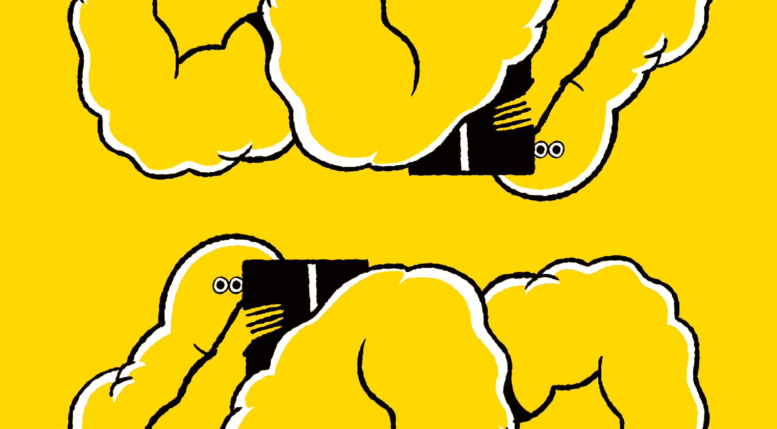 Subscribe to our newsletter 